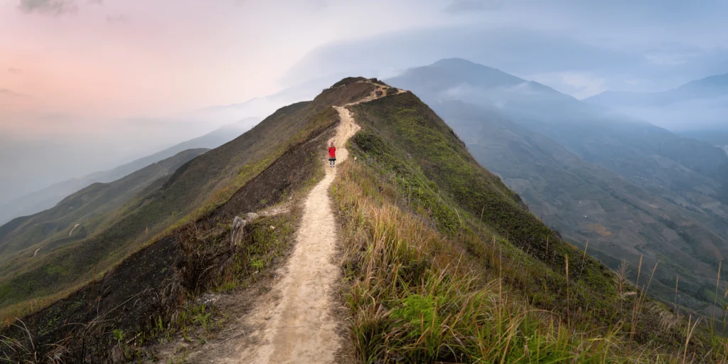 chemin de vie numerologie