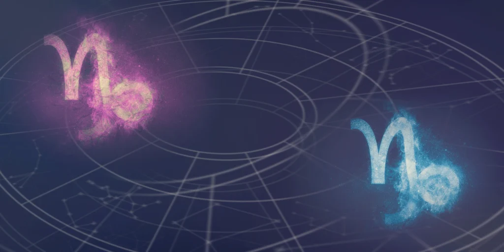 signe astrologique capricorne