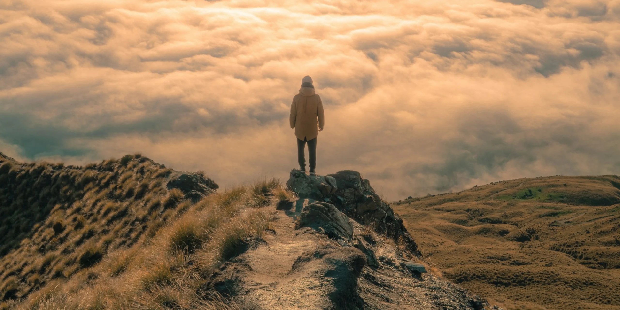 maison 10 astrologie