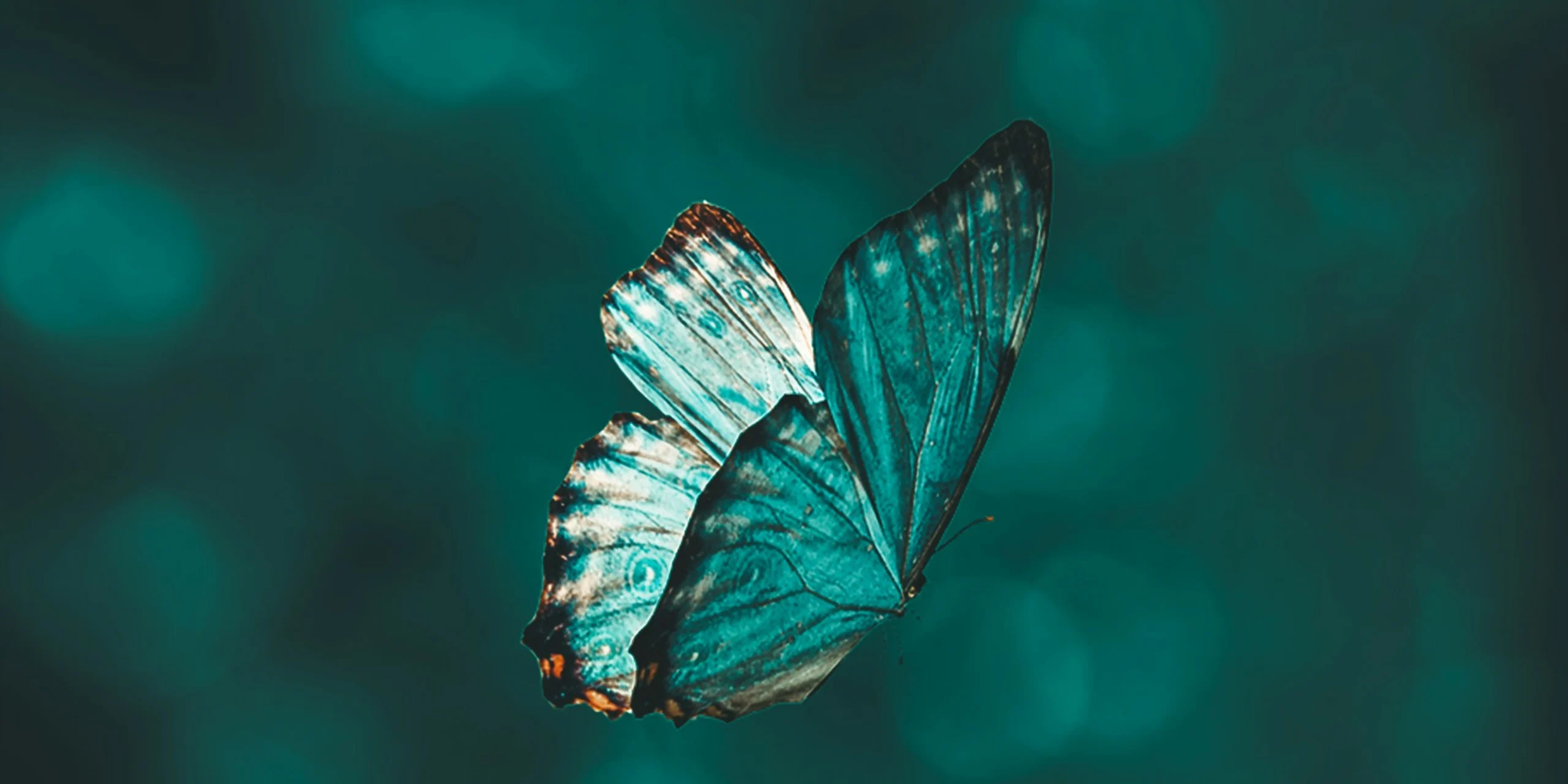 chiron symbole