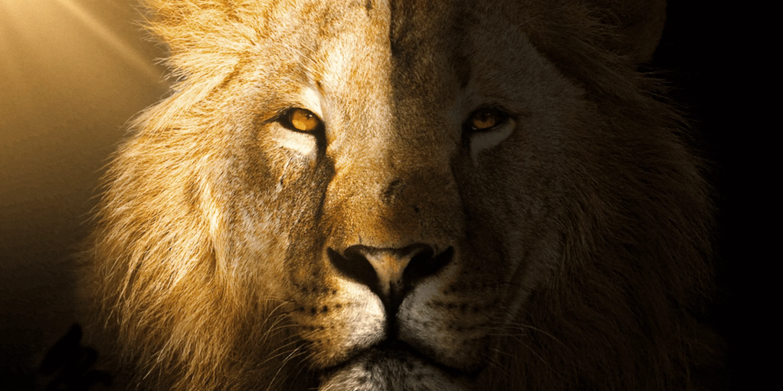 symbole lion