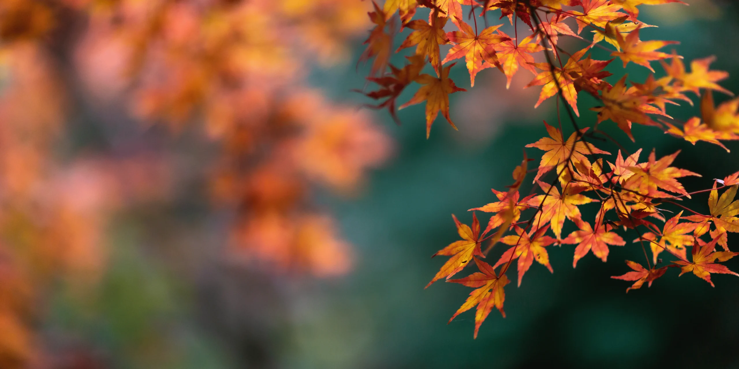 equinoxe automne spiritualite