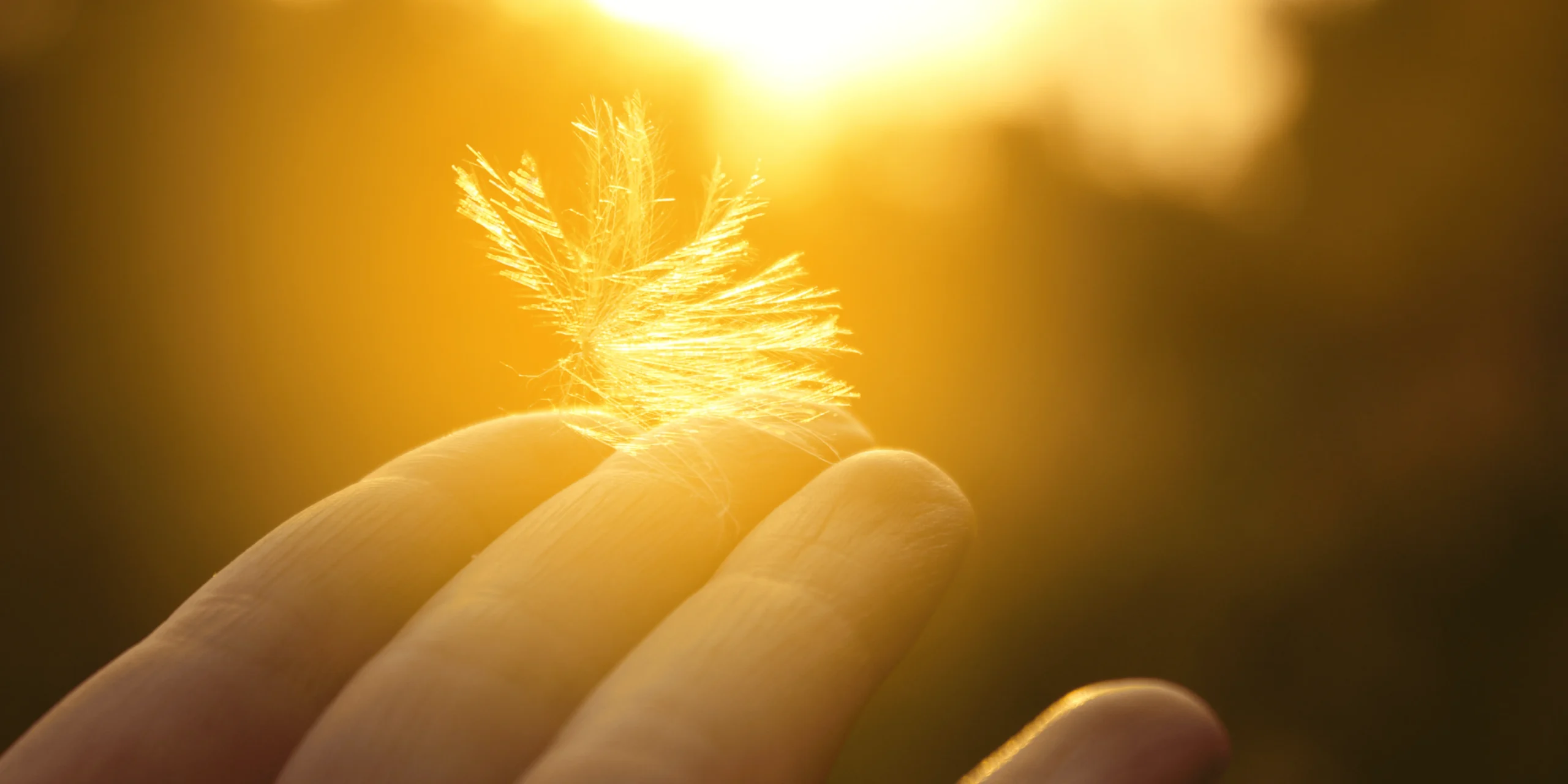 lune noire en sagittaire